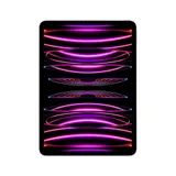 Apple iPad Pro 11" 2022 Wi-Fi 128 GB Space Grau MNXD3FD/A