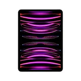 Apple iPad Pro 11" 2022 Wi-Fi 256 GB Space Grau MNXF3FD/A