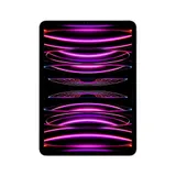 Apple iPad Pro 11" 2022 Wi-Fi 512 GB Space Grau MNXH3FD/A