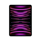 Apple iPad Pro 11" 2022 Wi-Fi + Cellular 128 GB Space Grau MNYC3FD/A