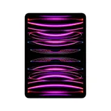 Apple iPad Pro 11" 2022 Wi-Fi + Cellular 256 GB Space Grau MNYE3FD/A