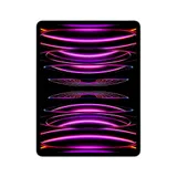 Apple iPad Pro 12,9" 2022 Wi-Fi 256 GB Space Grau MNXR3FD/A 