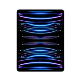 Apple iPad Pro 12,9" 2022 Wi-Fi 256 GB Silber MNXT3FD/A