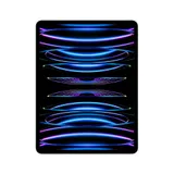 Apple iPad Pro 12,9" 2022 Wi-Fi 1 TB Silber MNXX3FD/A