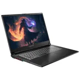 Captiva Advanced Gaming I75-874G1 17,3" FHD i5-13500H 16GB/500GB RTX4060 Win11