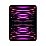 Apple iPad Pro 12,9" 2022 Wi-Fi + Cellular 256 GB Space Grau MP203FD/A