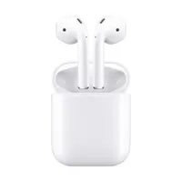 Apple AirPods 2. Generation Ladecase (kabelgebunden) 2019 