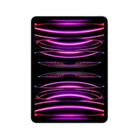 Apple iPad Pro 11" 2022 Wi-Fi 256 GB Space Grau MNXF3FD/A 