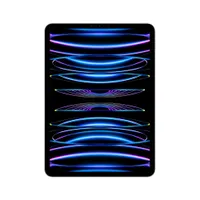 Apple iPad Pro 11" 2022 Wi-Fi 256 GB Silber MNXG3FD/A 