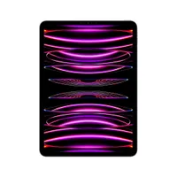 Apple iPad Pro 11" 2022 Wi-Fi 512 GB Space Grau MNXH3FD/A  