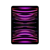 Apple iPad Pro 11" 2022 Wi-Fi + Cellular 256 GB Space Grau MNYE3FD/A 