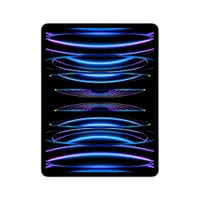 Apple iPad Pro 12,9" 2022 Wi-Fi 128 GB Silber MNXQ3FD/A 