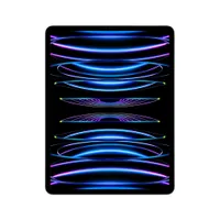 Apple iPad Pro 12,9" 2022 Wi-Fi 256 GB Silber MNXT3FD/A 