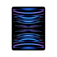 Apple iPad Pro 12,9" 2022 Wi-Fi 1 TB Silber MNXX3FD/A 