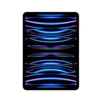 Apple iPad Pro 12,9" 2022 Wi-Fi + Cellular 128 GB Silber MP1Y3FD/A 