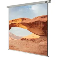 celexon Leinwand Rollo Professional 300 x 300 cm 