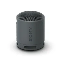 Sony SARS-XB100 - Tragbarer Bluetooth Lautsprecher - schwarz