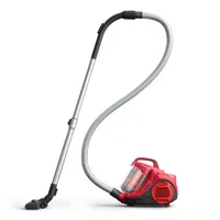 Rowenta Swift Power Cyclonic RO2913 