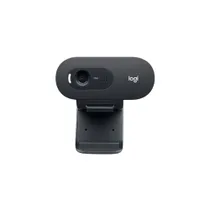 Logitech C505e