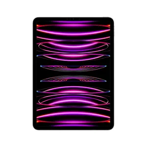 Apple iPad Pro 11" 2022 Wi-Fi 256 GB Space Grau MNXF3FD/A 