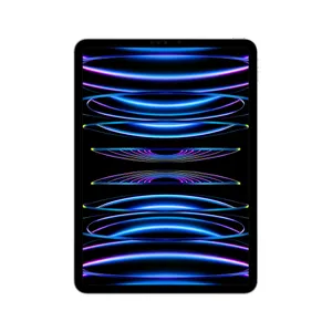 Apple iPad Pro 12,9" 2022 Wi-Fi + Cellular 128 GB Silber MP1Y3FD/A 