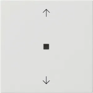 Gira S3000 536803 Bluetooth Pfeile System 55 Reinweiß glänzend