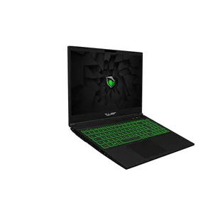 Tulpar Abra A5 V20.3.3 i7-13700H 16GB/1TB SSD 15,6"FHD 144Hz RTX4050 ohne OS
