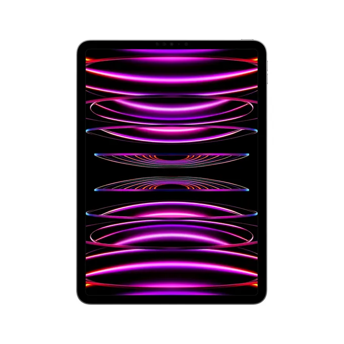 Apple iPad Pro 11" 2022 Wi-Fi 256 GB Space Grau MNXF3FD/A