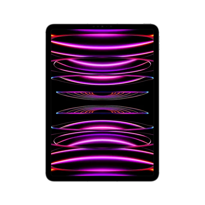 Apple iPad Pro 11" 2022 Wi-Fi + Cellular 256 GB Space Grau MNYE3FD/A