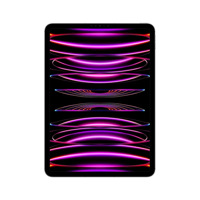 Apple iPad Pro 11" 2022 Wi-Fi + Cellular 2 TB Space Grau MNYL3FD/A