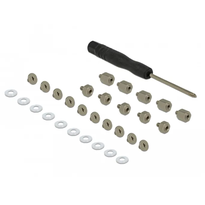Delock ﻿Befestigungsset 31-teilig für M.2 SSD / Modul