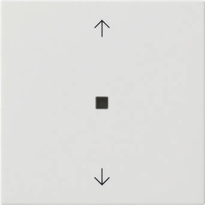 Gira S3000 536803 Bluetooth Pfeile System 55 Reinweiß glänzend