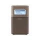 Sony XDR-V1BTD Tragbares Uhrenradio braun