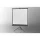 celexon Stativleinwand Economy 158 x 158cm