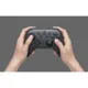 Nintendo Switch Pro Controller