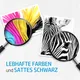 HP 364 Tinte Value Pack N9J73AE