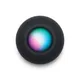 Apple Homepod Mini spacegrau