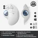Logitech ERGO M575 - Trackball - optisch