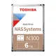 Toshiba N300 NAS Hard Drive HDEMX11ZNA51F Bulk 6TB