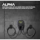 Pracht ALPHA XT NRG1002 Wandladestation