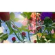 Grounded XBox PC Digital Code DE