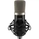 IMG Stageline Großmembran-Kondensator-Mikrofon USB ECMS-50USB