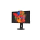 Fujitsu P2410 TS CAM 61.0 cm (24") Full HD Monitor