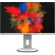 Fujitsu P2410 TE 61.0 cm (24") Full HD Monitor