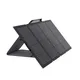 EcoFlow Solar Panel 220W Bifazial für Power Station RIVER DELTA