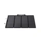 EcoFlow Solar Panel 220W Bifazial für Power Station RIVER DELTA