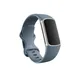 Fitbit Charge 5 graublau / platin