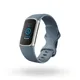 Fitbit Charge 5 graublau / platin