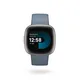 Fitbit Versa 4 Fitness-Smartwatch Blaugrau/Platin