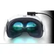 PICO Neo 3 Link VR Headset 256GB Business Model
